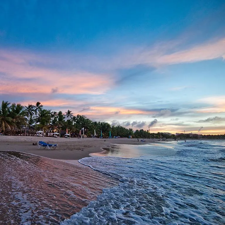 Evergreen Cabarete