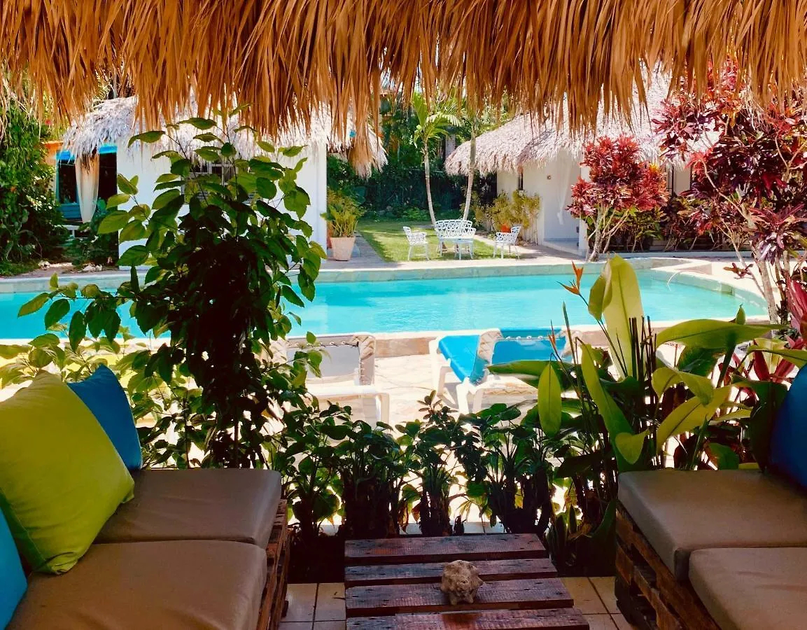 Evergreen Cabarete